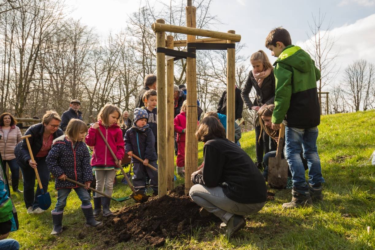 Jedes Jahr ein Baum …