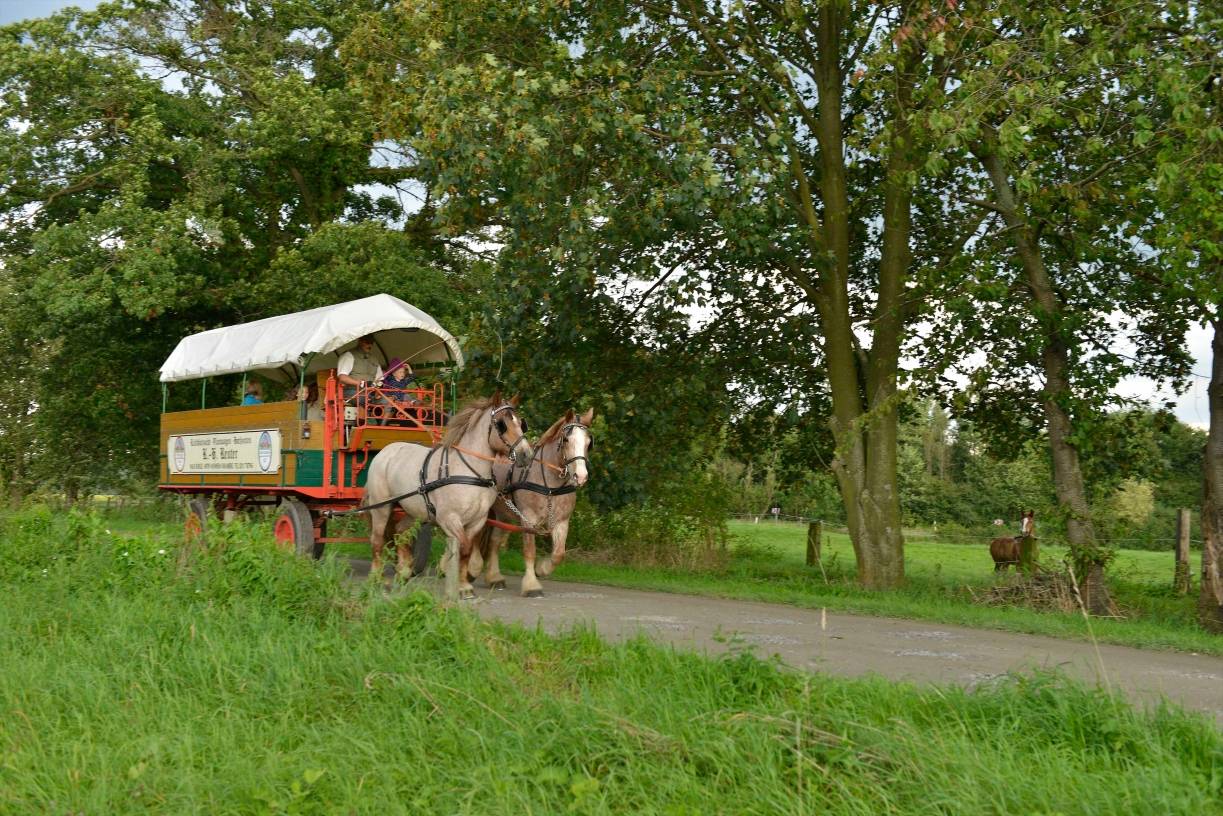 Kutschfahrten sind in Monheim möglich. 