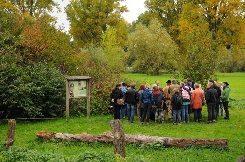 Neanderland (ver)führt ins Grüne