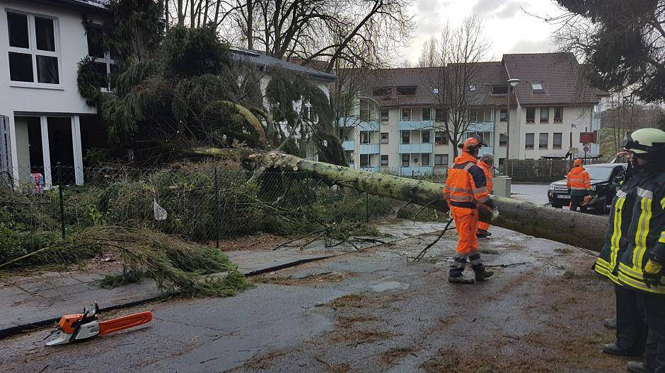 Feuerwehr Mettmann wegen Friederike im Einsatz