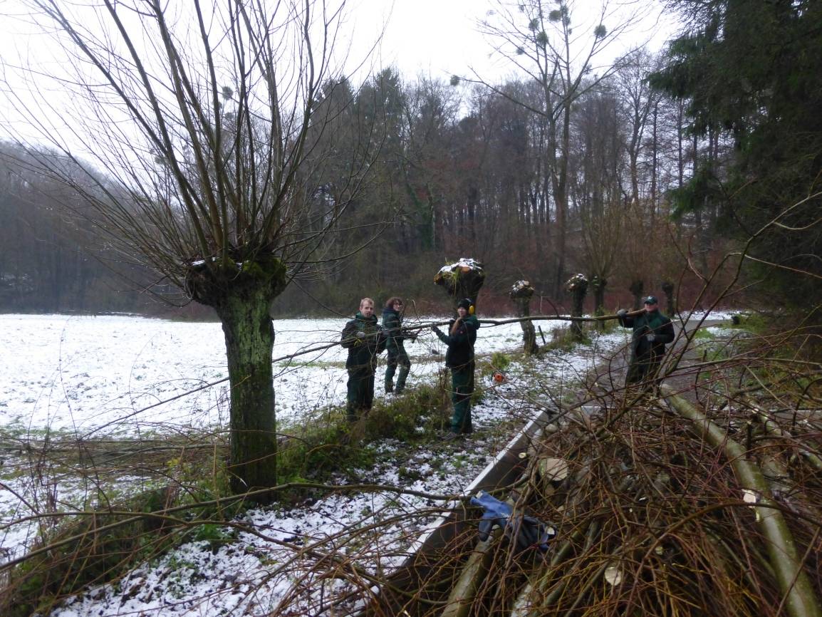 Ein Jahr voller Erfahrungen und Eindrücke