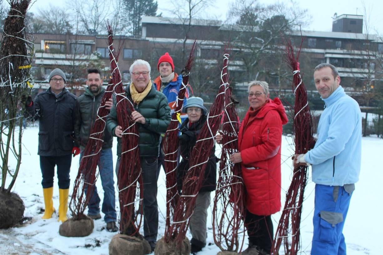  Trotz Schnees pflanzten Mitglieder des Bürgervereins gemeinsam mit Frithjof Gerstner und Mitarbeitern der Stadt Bäume auf dem Gelände des Rückhaltebeckens am Comberg-Park. 