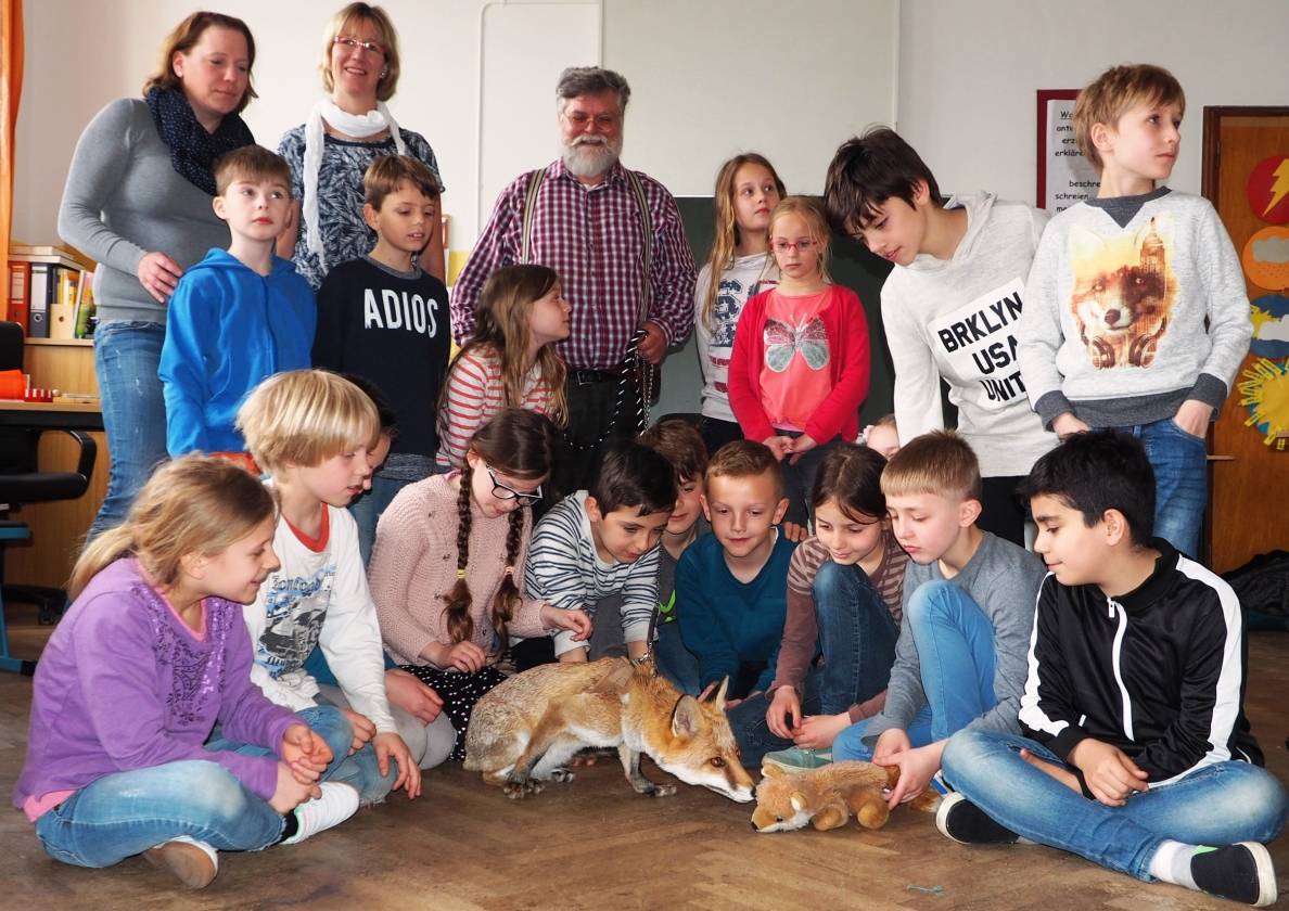 Füchsin Foxy trifft den Klassenfuchs