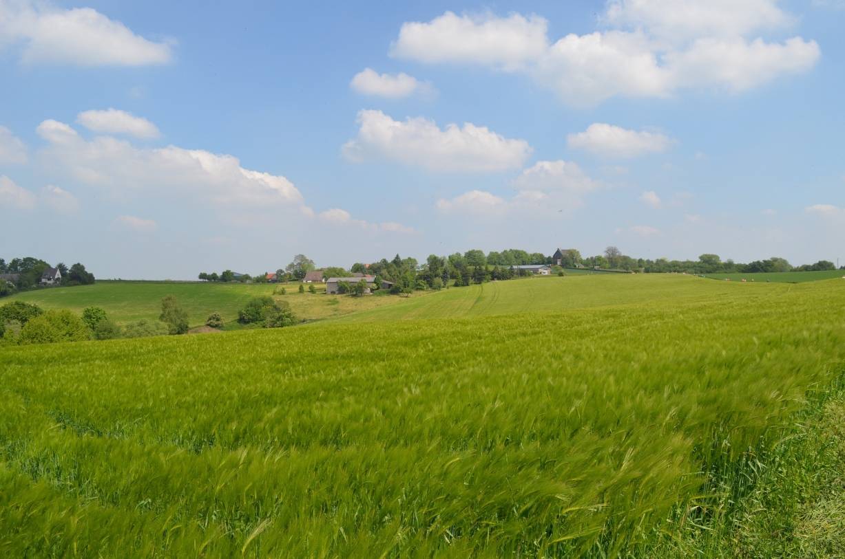 Nur noch wenige Plätze frei für anmeldepflichtige Thementouren