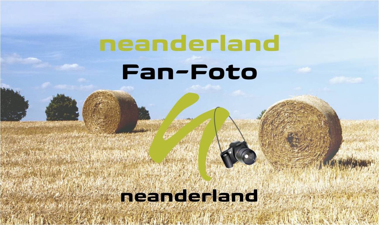 Tourismusregion neanderland ruft zum Fotowettbewerb auf: Bildschönes neanderland!