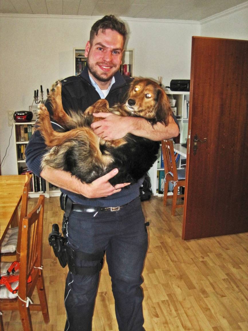  Happyend in Ratingen - Retriever-Mischlingshündin Cassi auf dem Arm ihres Retters, PK Florian Keßler. 