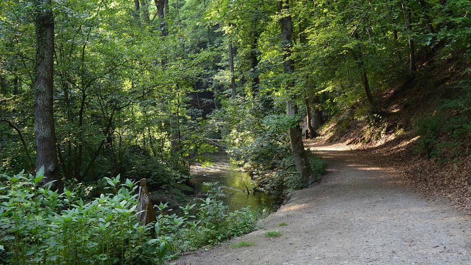 Mit dem Rucksack durchs neanderland