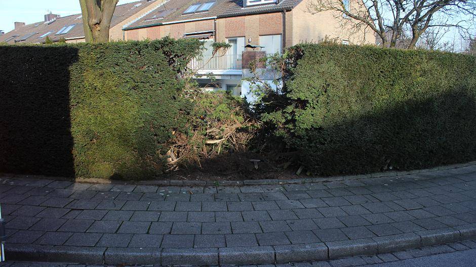 Vorher durchschlug er die Hecke vor dem...