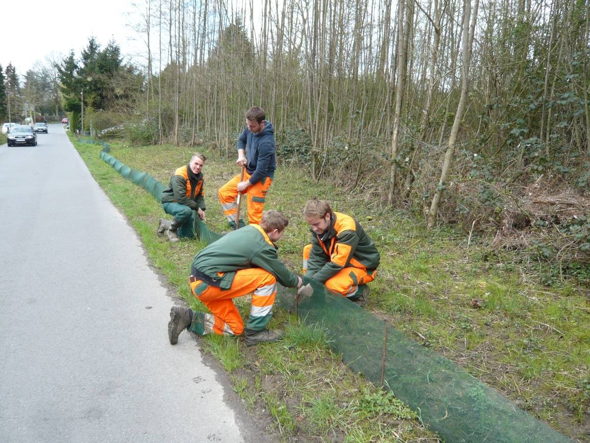 Ein Freiwilligenjahr im Dienste der Natur