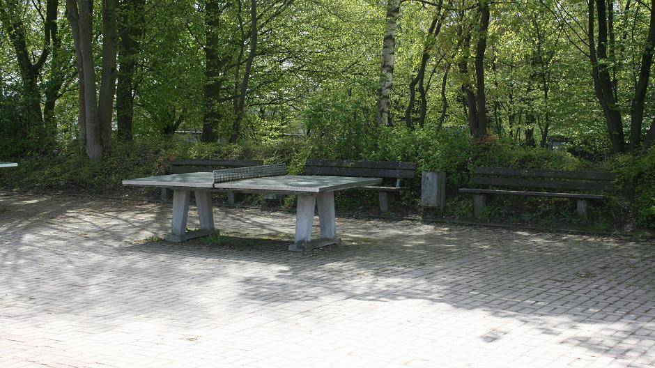 Anstelle der alten Sitzbänke wird eine Sitztribüne aus den beim Umbau gewonnenen...