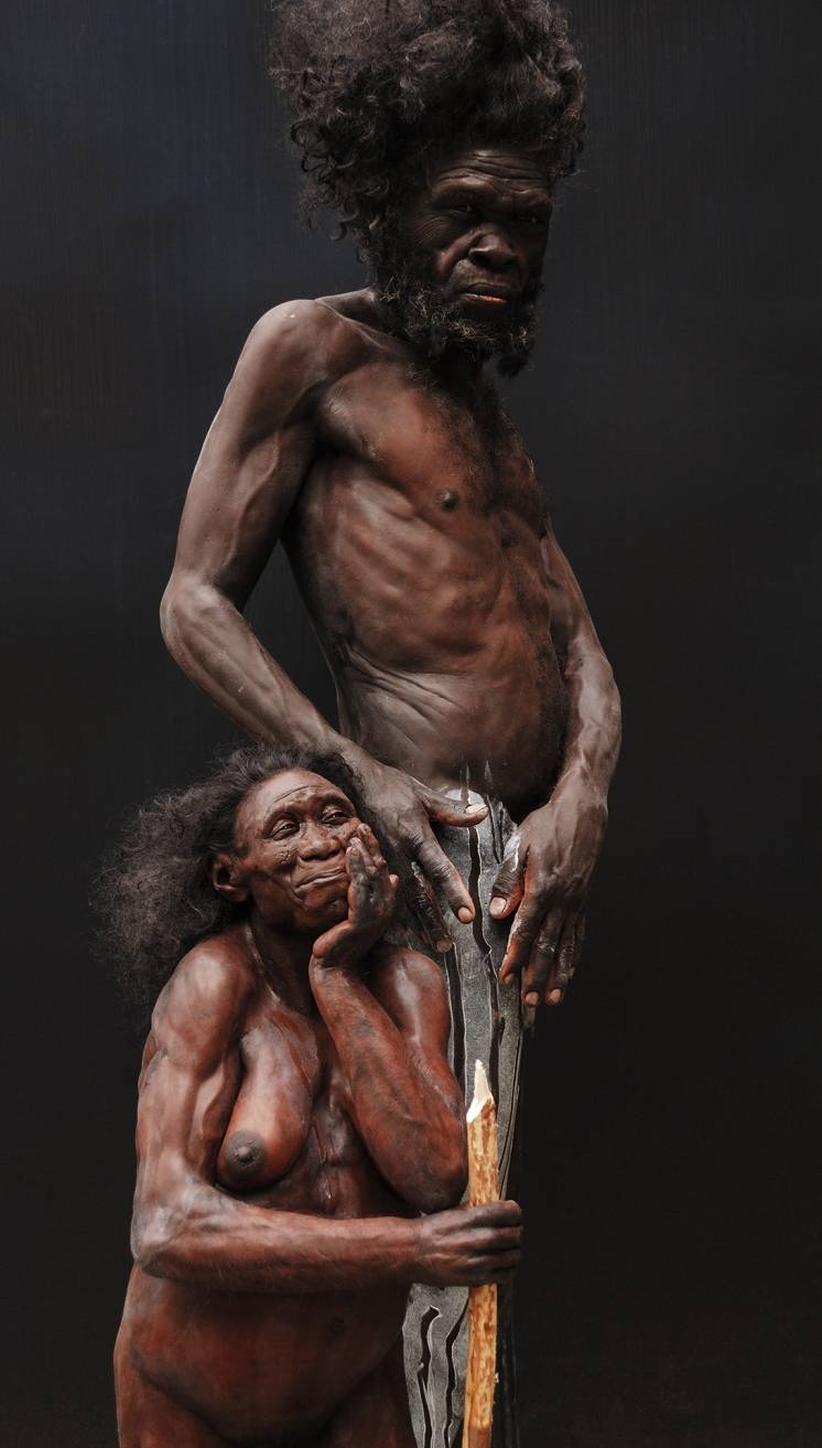 20 Jahre Neanderthal Museum: Besucher erhalten Einblicke in Update der Dauerausstellung