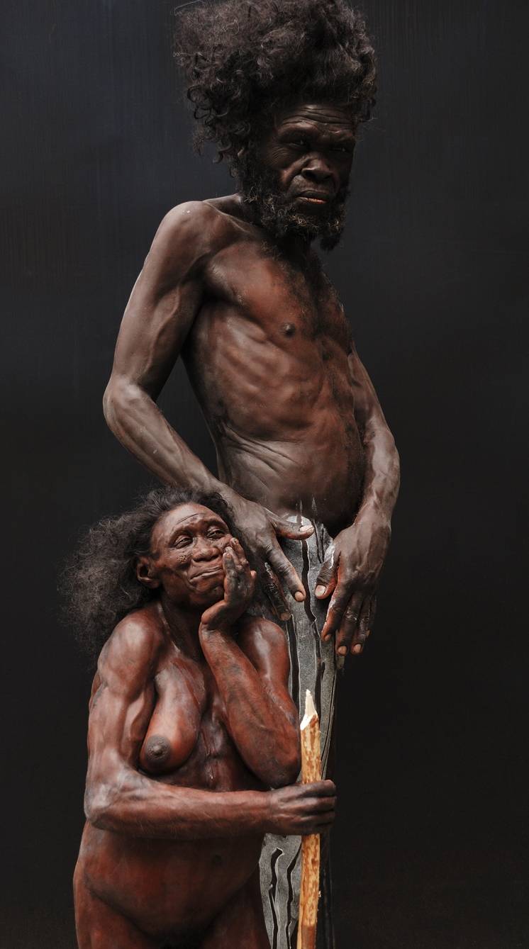 20 Jahre Neanderthal Museum: Besucher erhalten Einblicke in Update der Dauerausstellung