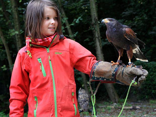 Forschen, Klettern, Natur erleben