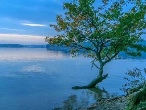 Bärbel Hertrampf (Bad Salzuflen) mit „Abendstimmung am Möhnesee“...