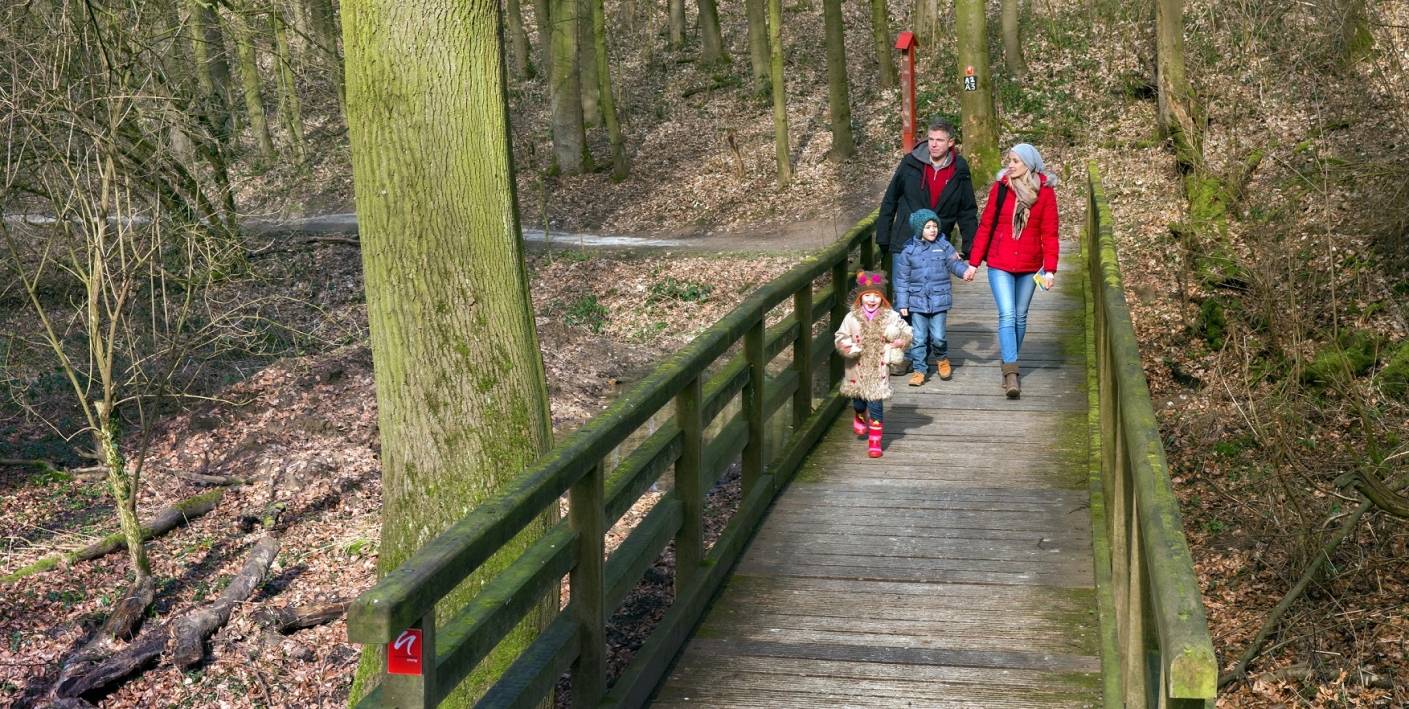 Winterwunder im neanderland: Heiße Tipps für kalte Tage