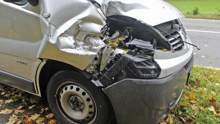 Herrenlose Hündin verursacht schweren Verkehrsunfall