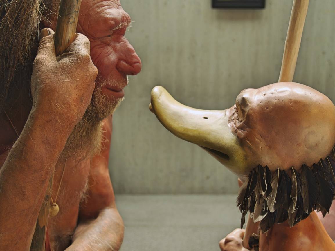 Bis 30. Oktober im Neanderthal Museum