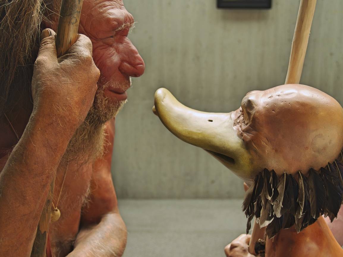 Sonderausstellung „DUCKOMENTA“: Bis 30. Oktober im Neanderthal Museum