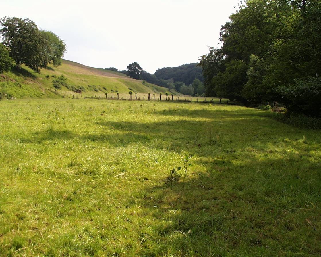 Exkursion durch das Naturschutzgebiet Stinderbachtal