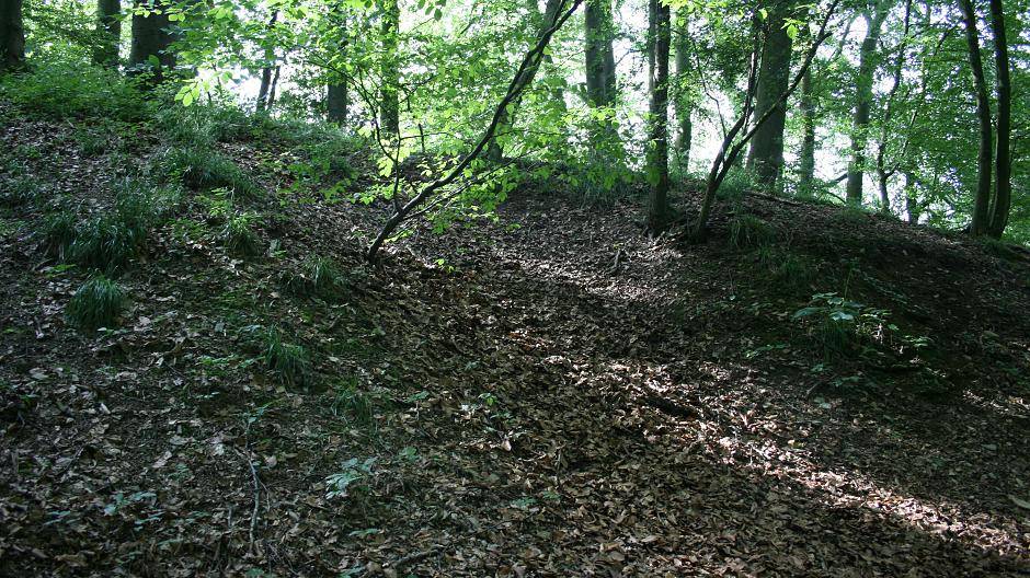 Auch nach über 70 Jahren ist noch die Kuhle im Waldhang zu erahnen, die das brennende...