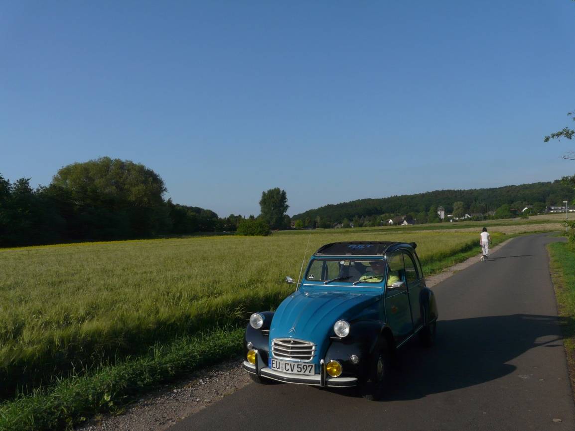 Entenausfahrt zur Duckomenta