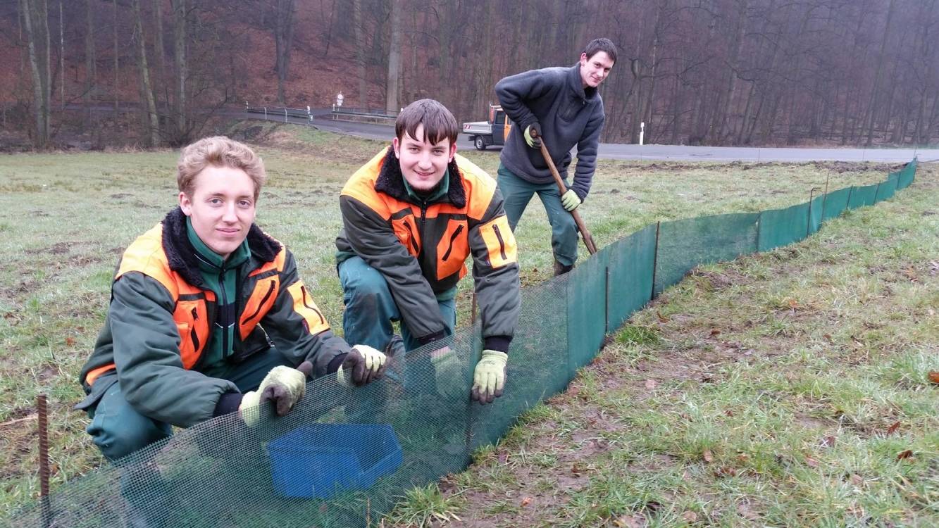 Freie Plätze für das Freiwillige Ökologische Jahr (FÖJ) beim Kreis Mettmann