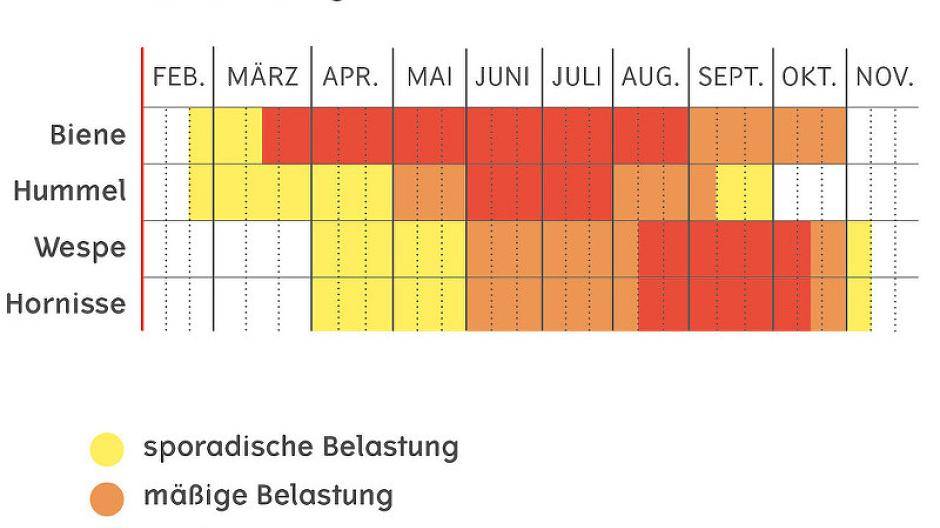 Der...