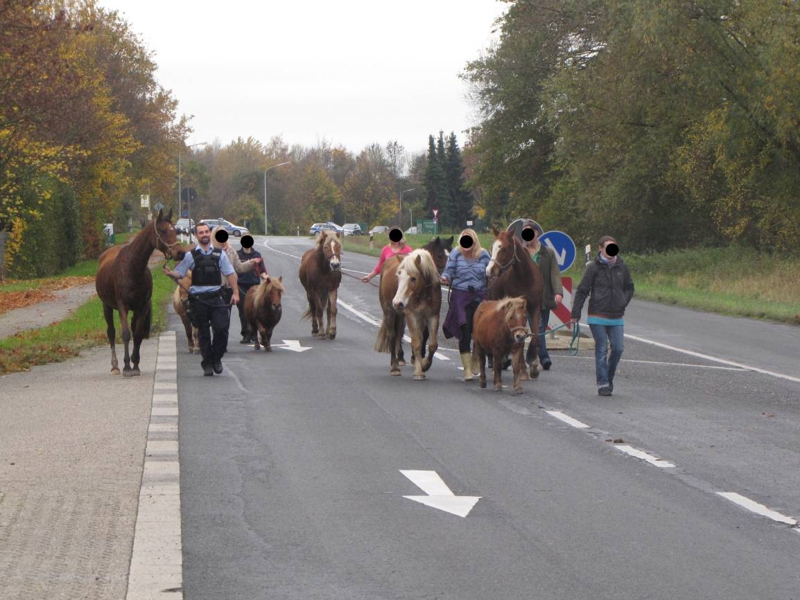 Wilder Westen in Breitscheid