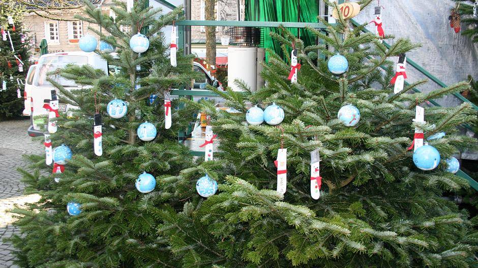 Sehen Sie die Bäume in unserer...