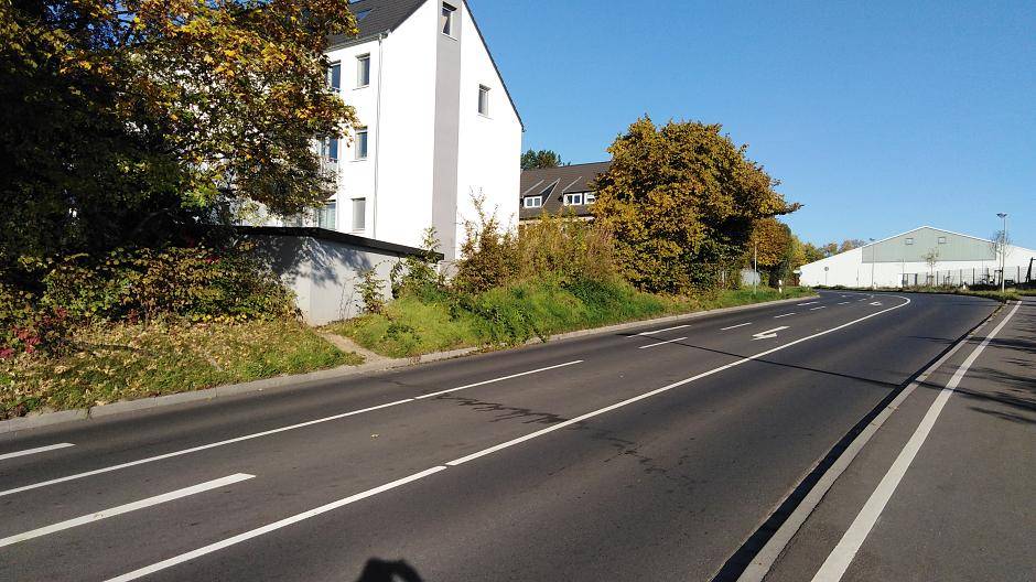 Dieser Trampelpfad mündet direkt in die Hasseler...