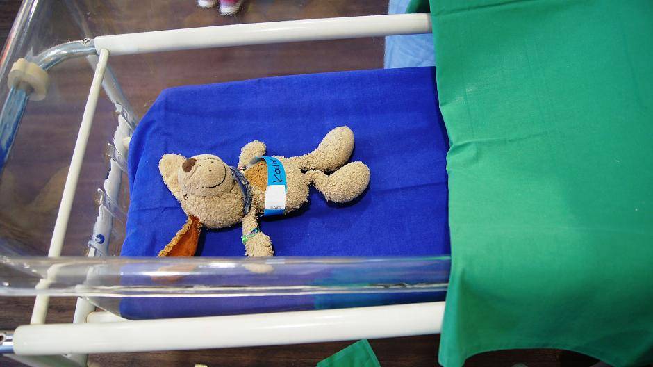 Werden zu Patienten: die Kuscheltiere der kleinen Besucher im Teddykrankenhaus. Quelle:...