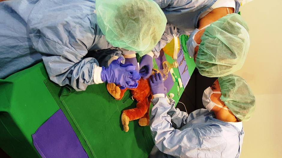 Gemeinsam mit den Kindern werden die Kuscheltiere im Teddykrankenhaus untersucht und...