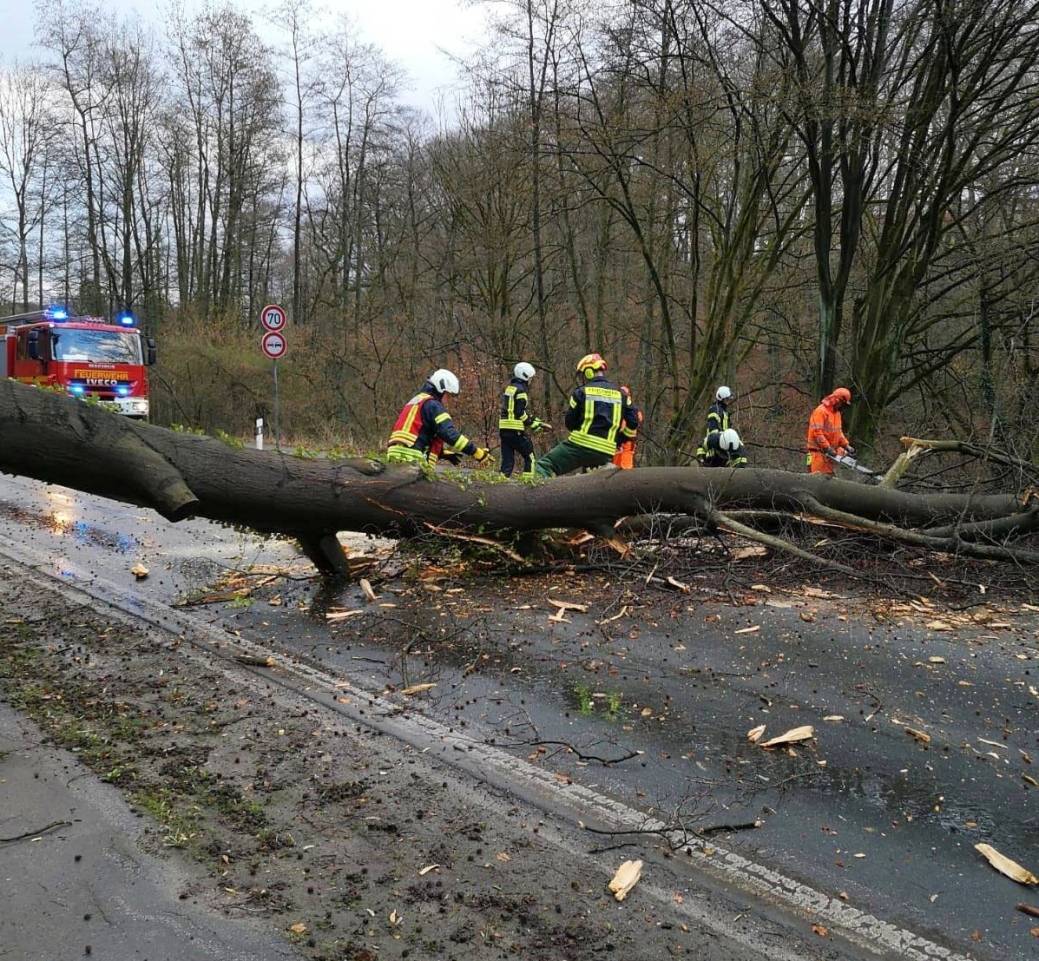  Im Neandertal stürzte ein Baum durch die Sturmböen auf die Fahrbahn. 