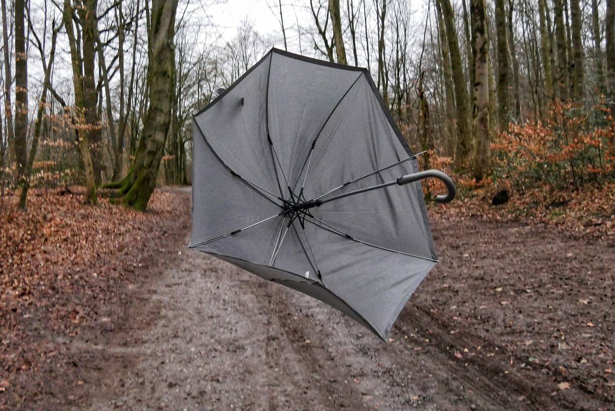 Vorsicht beim Betreten der Wälder, Friedhöfe und Grünanlagen