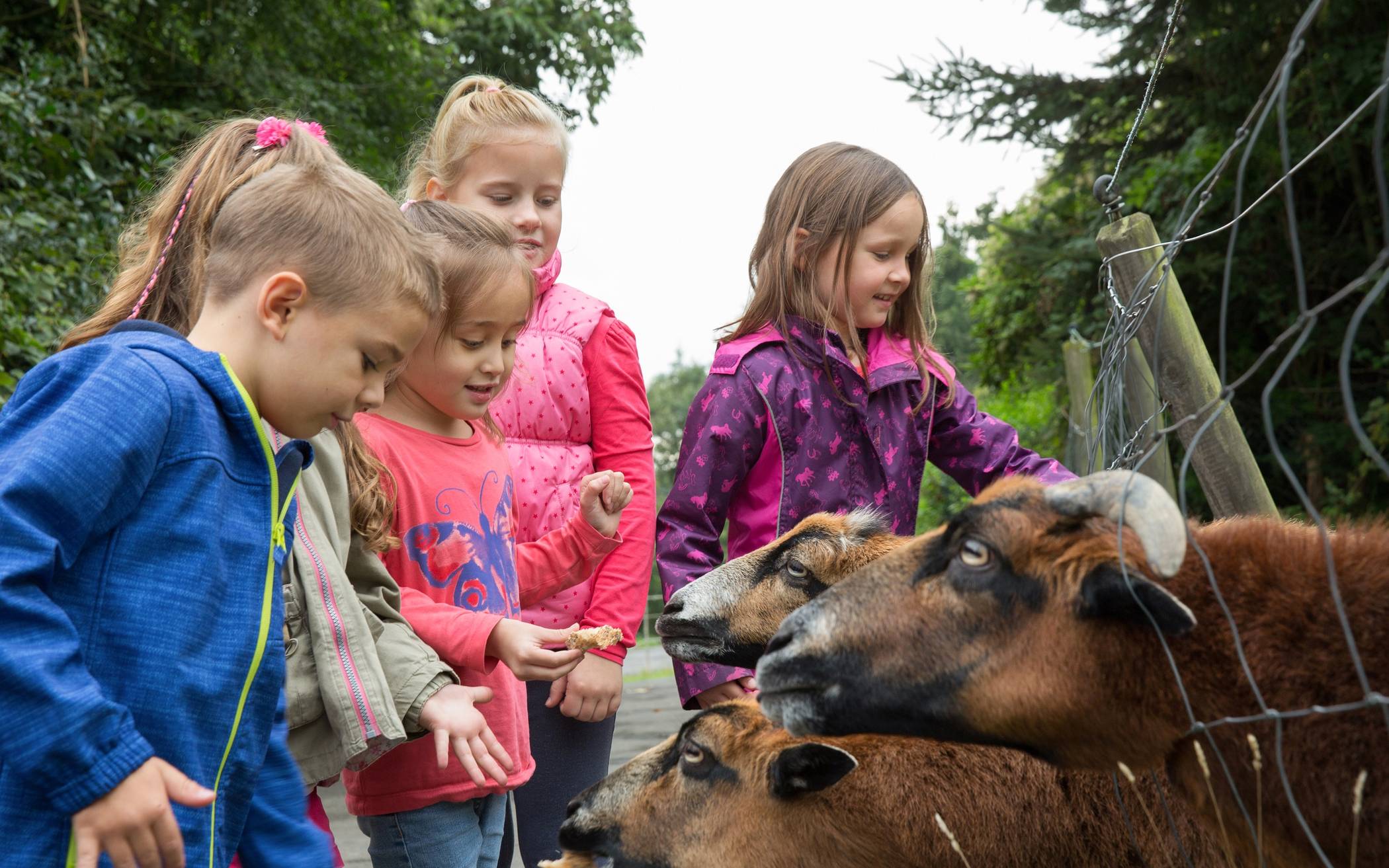 Von Steinzeit bis Sternwarte: Freizeitspaß für Kinder im neanderland