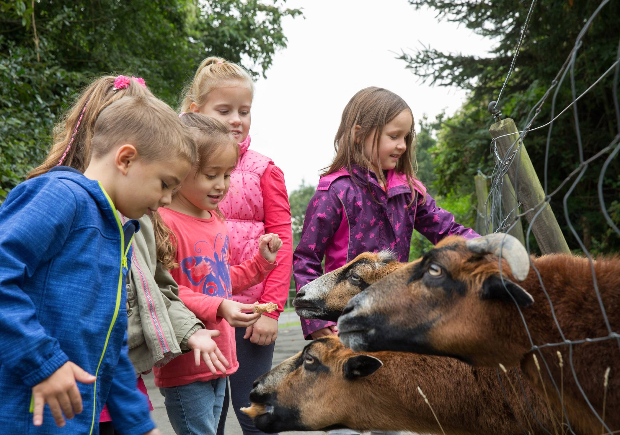 Ferientipps für den Kreis Mettmann