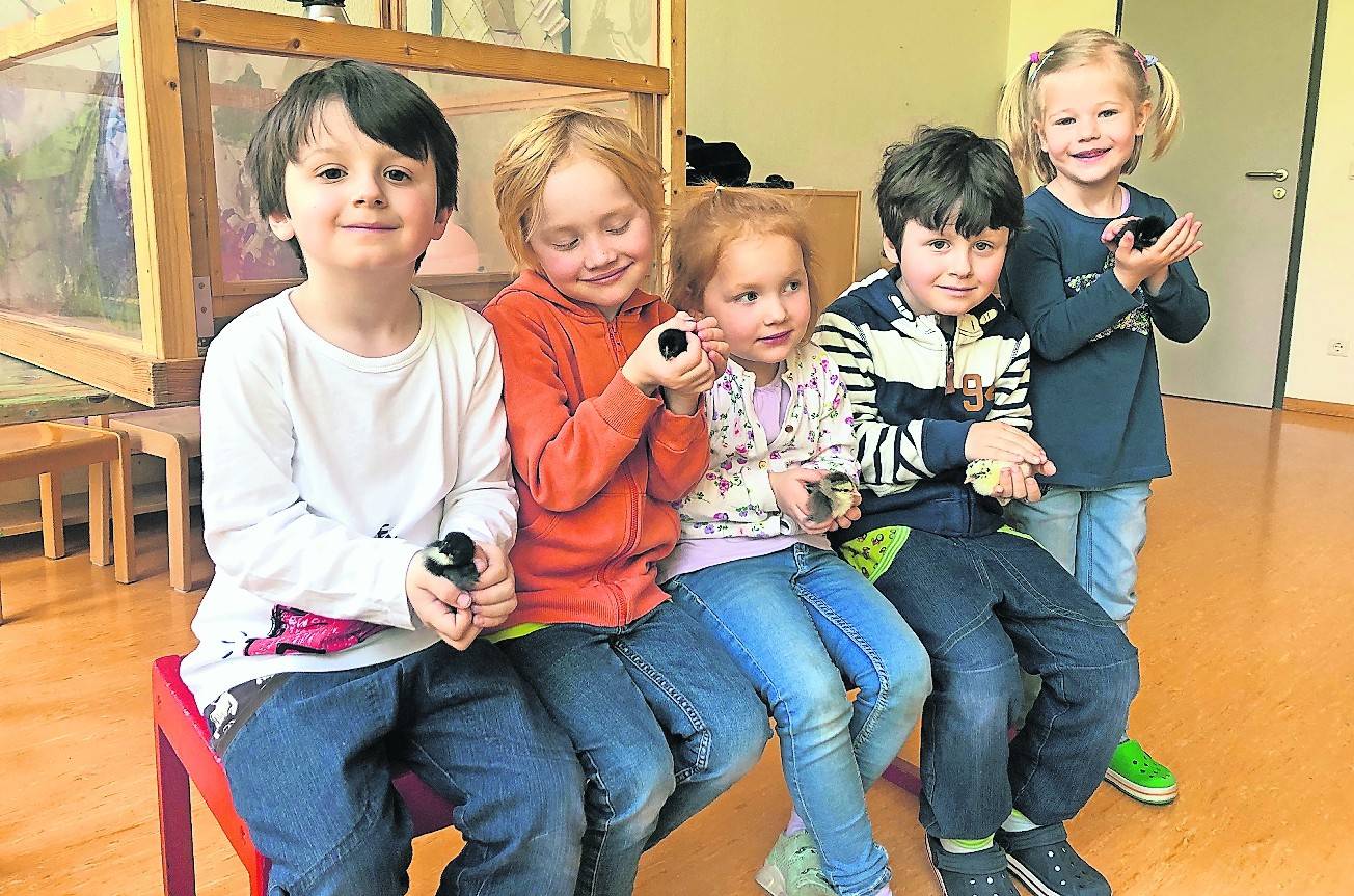  Die Kinder haben Gefallen an den kleinen gefiederten Freunden. 