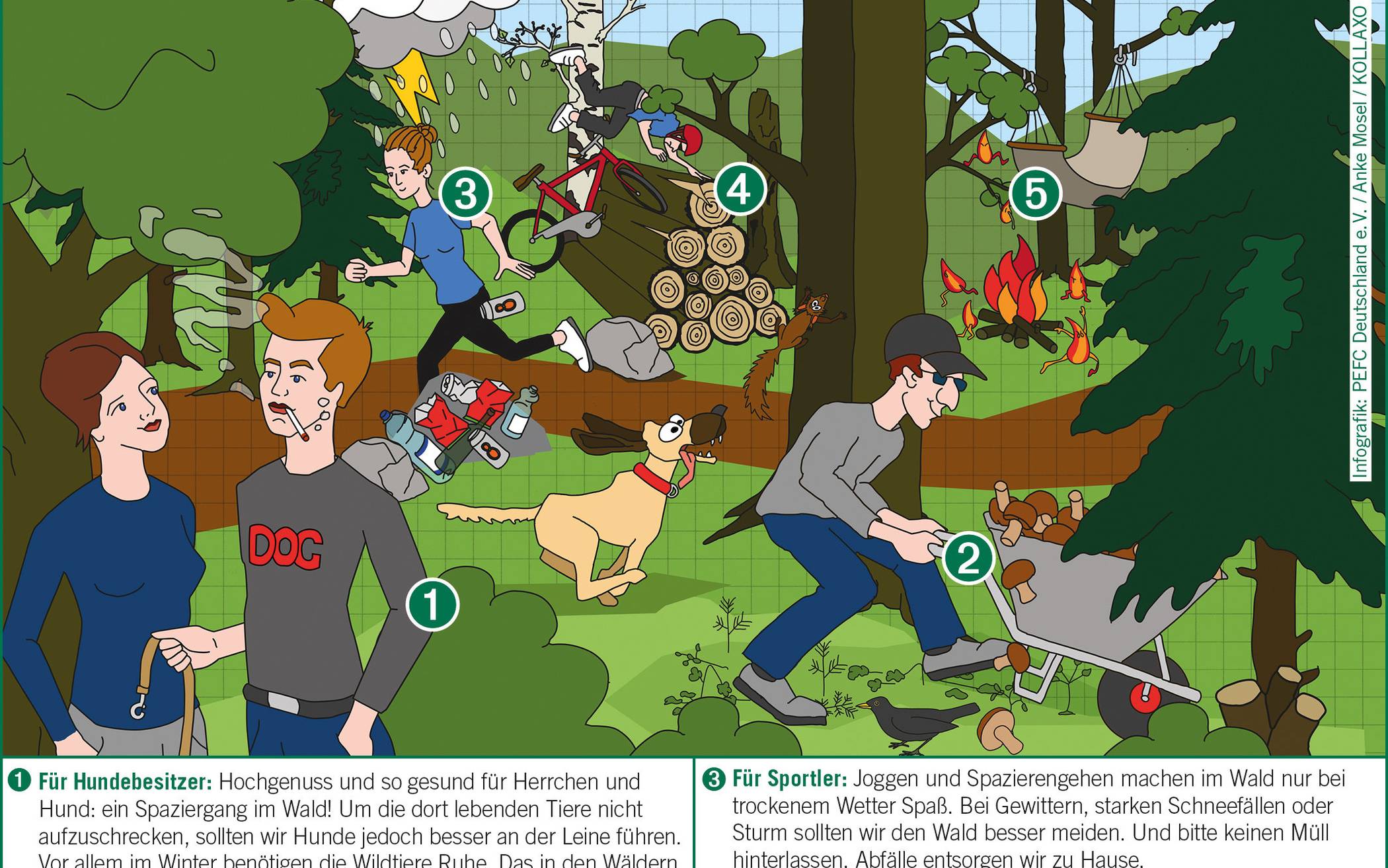 Praktische Tipps zum Aufenthalt im Forst: Verhaltens-Check für Waldfreunde 