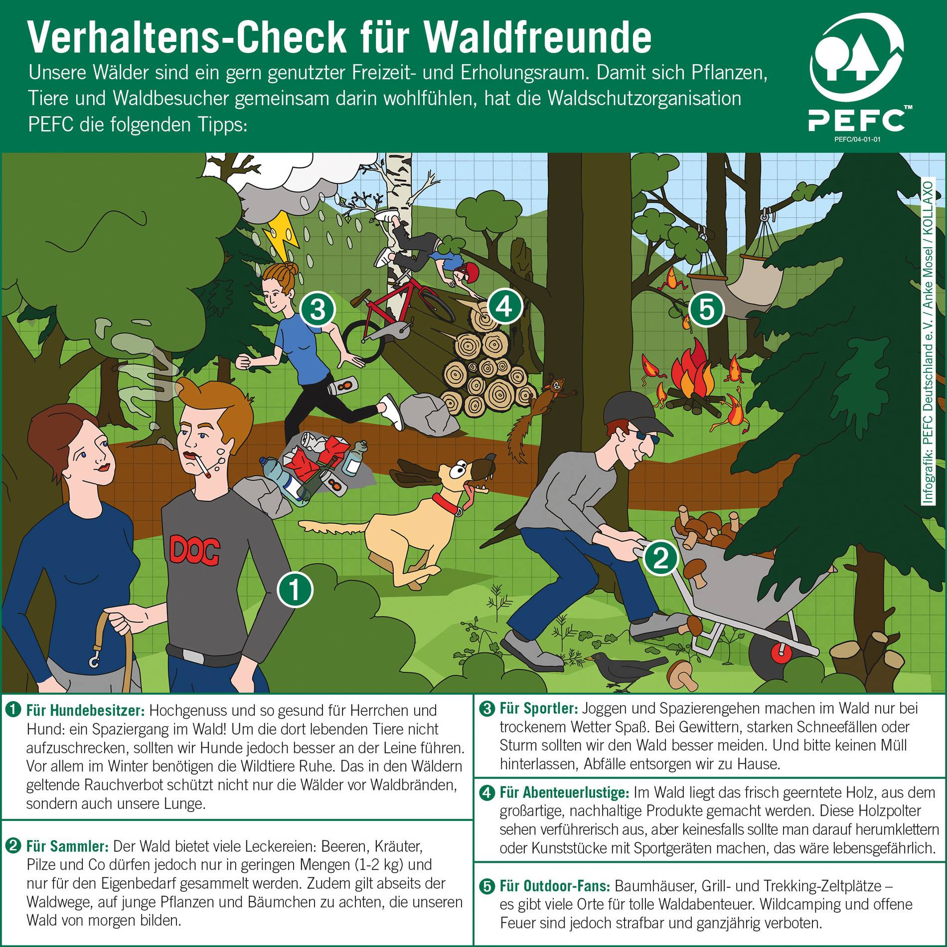 Praktische Tipps Zum Aufenthalt Im Forst Verhaltens Check Fur