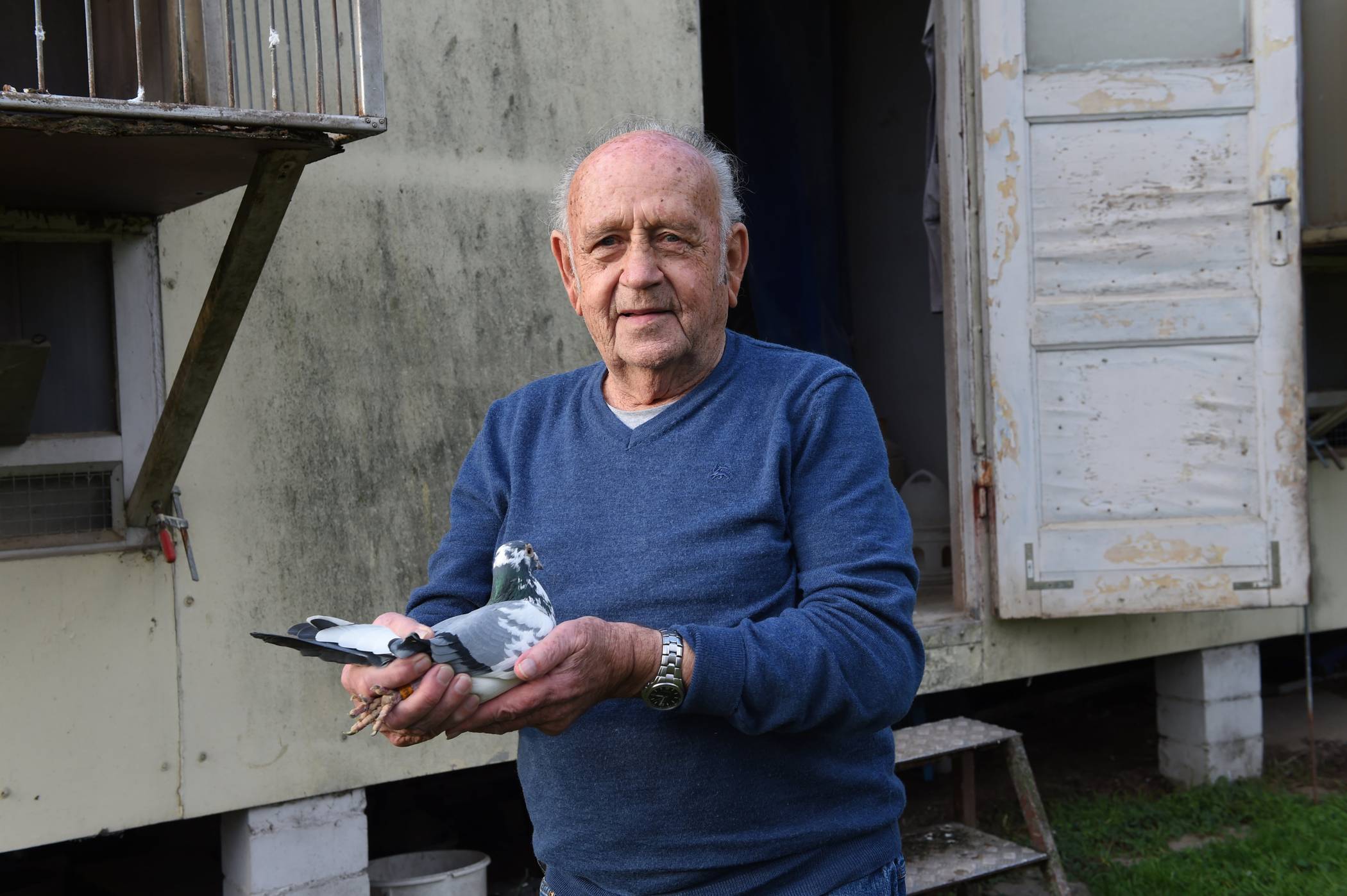  Artur Koslowski mit einem seiner Schützlinge vor seinem Taubenschlag. 