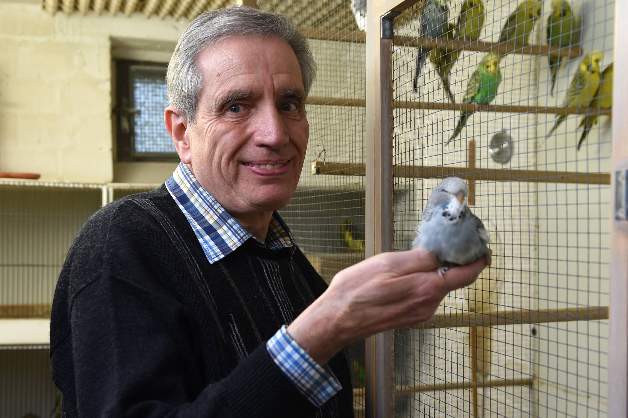  Klaus Töller hat einen Vogel und das gleich mehrfach und dazu steht der Züchter auch.  
