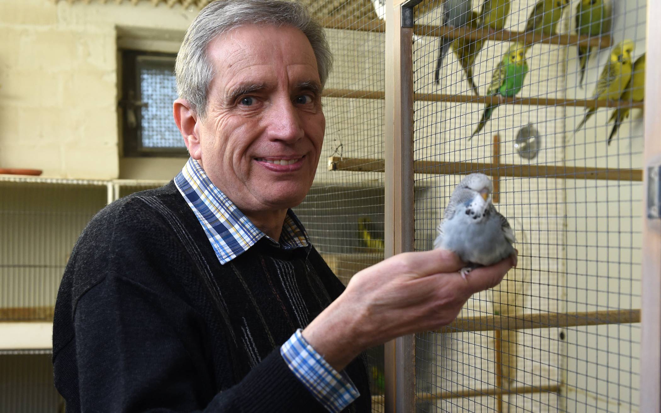  Klaus Töller hat einen Vogel und das gleich mehrfach und dazu steht der Züchter auch.  