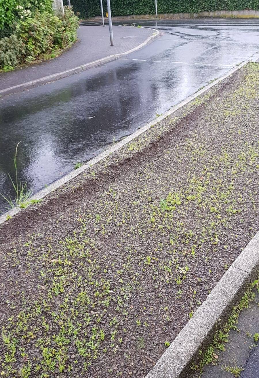  In der Siedlung Löffelbeck ist ein Auto durchs Beet gefahren. Mitarbeiter des Baubetriebshofs haben die Reifenspur fotografiert. 