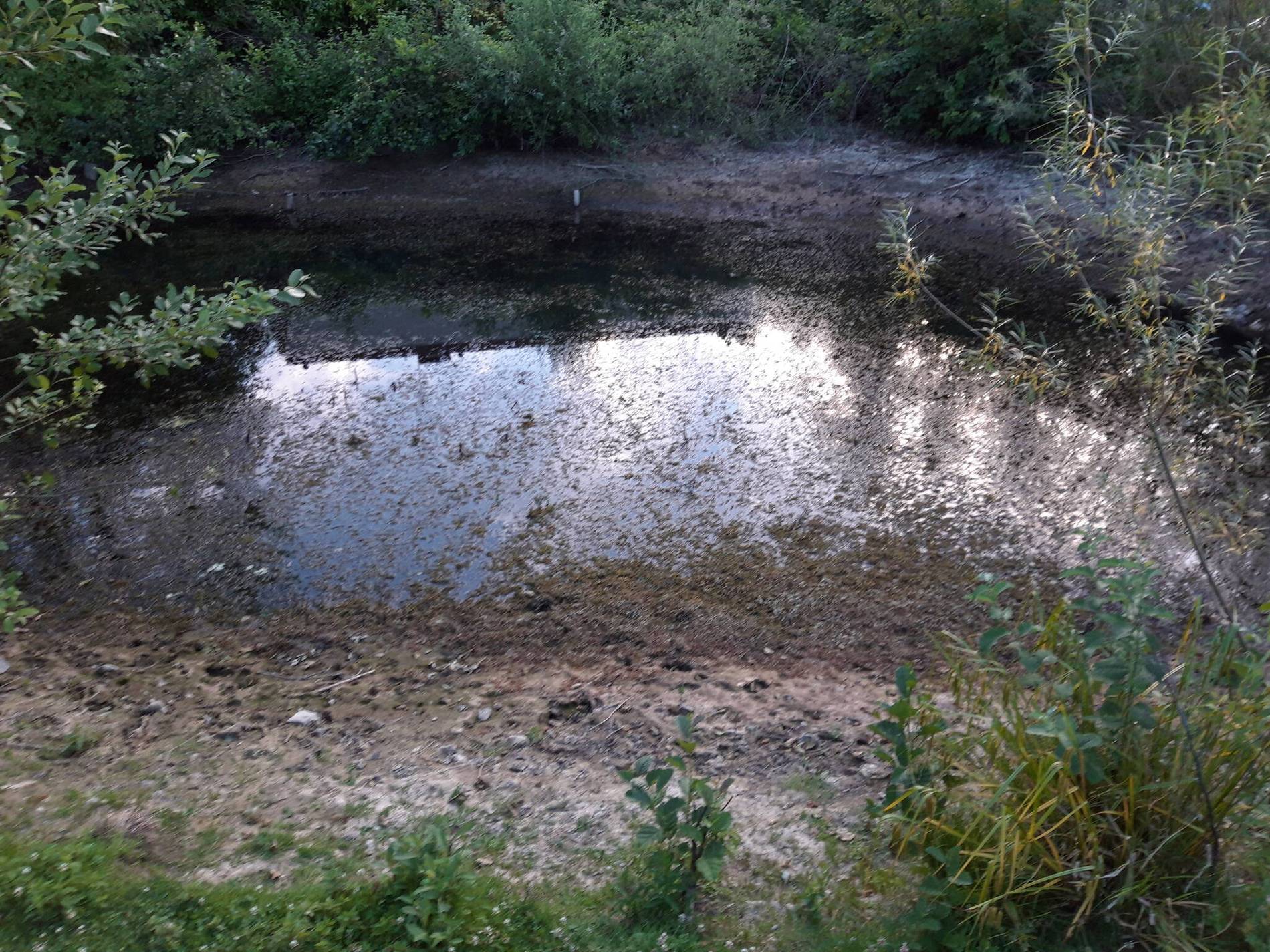 Teiche Sterben Mettmann Wassernotstand Hitze