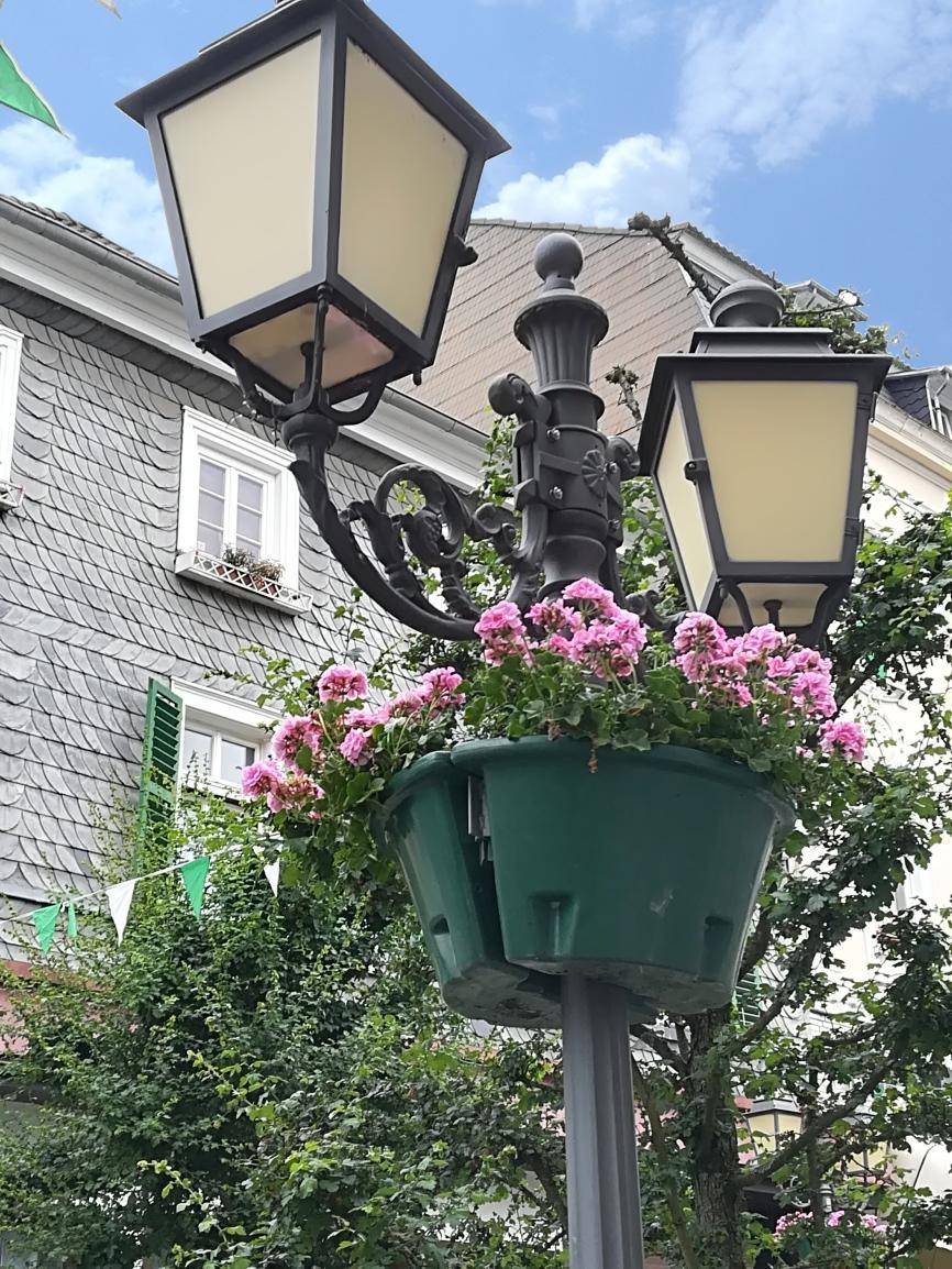  Die Laternenpfahle in der Oberstadt sind eine wahre Augenweide. Das liegt an den Blumenampeln, die dort angebracht sind. 