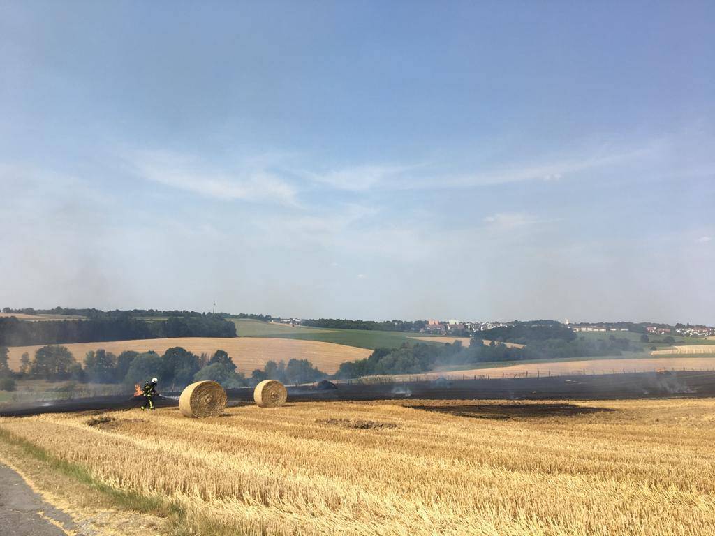 Die Feuerwehr löscht Feldbrand