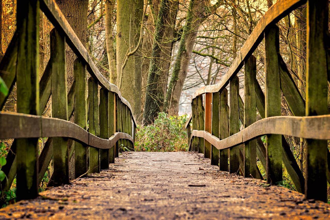 Baum wurde gefällt: Gesperrter Wanderweg kann heute wieder freigegeben werden