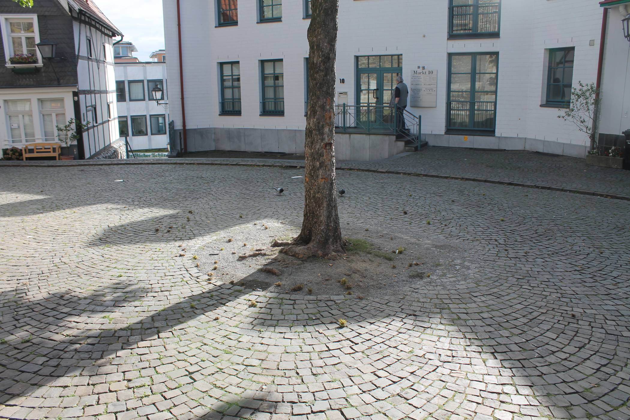  An dieser Stelle stand die beliebte Rundbank. Nun steht der Baum etwas verloren und nackt da. 