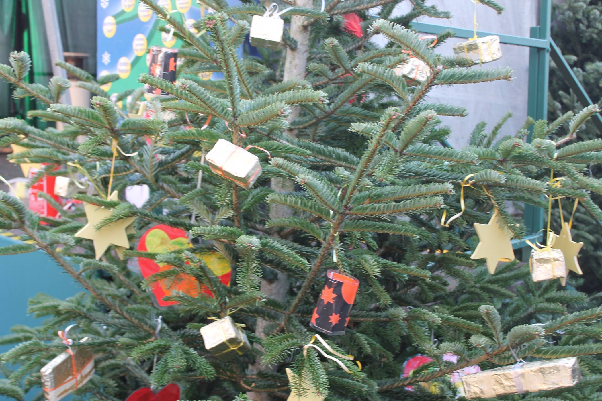 Mettmanns Grundschulkinder haben wieder geschmückt: Wunderschöne Weihnachtsbäume