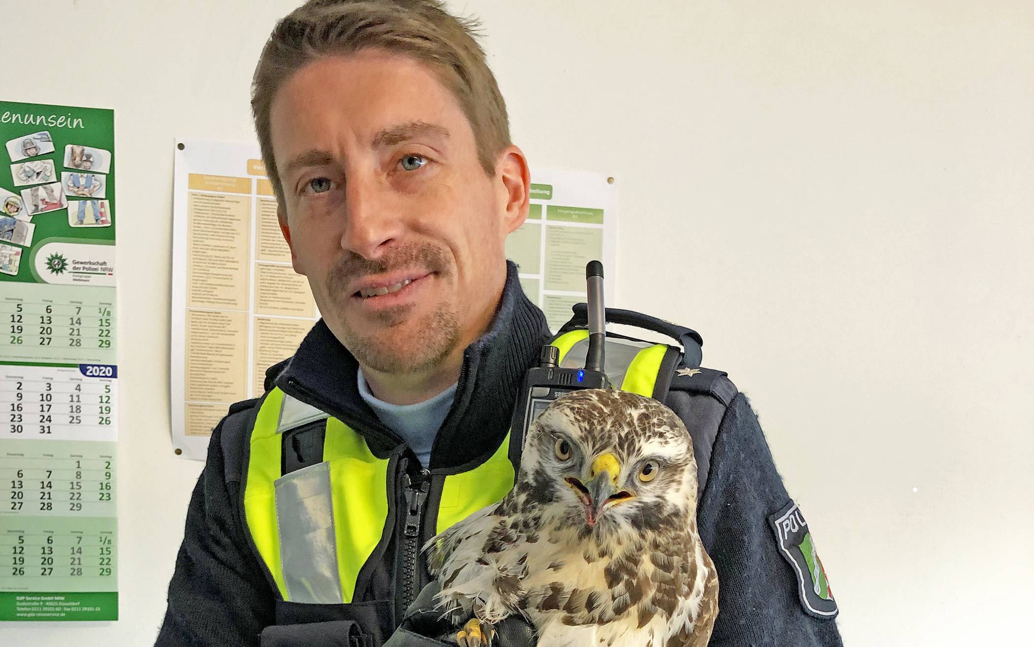  Polizeikommissar Christian Kaiser fing den Raubvogel, bei dem es sich wahrscheinlich um einen Bussard handelt, mit einem Karton und einer Decke ein und brachte es gemeinsam mit einer Kollegin zur Wache. 